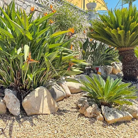 Paraiso - Mit Riesigem Traumpool Villa *